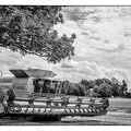 ErnteOderbruch2014 (3 von 14)