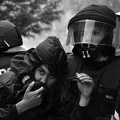 JPGJPGDSC_7743.jpg