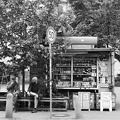 Stadt-Leben....miteinander