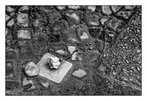 StolpersteinIMG 5577-Bearbeitet