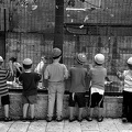 auf dem Spielplatz