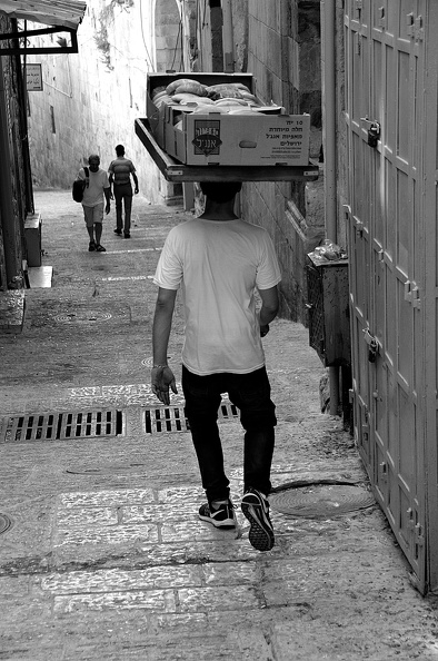 Brottransporteur.jpg
